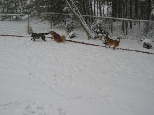 p1010008-1 p1010008-1