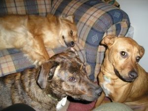 all_three_in_one_shot2