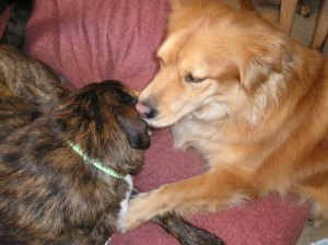 p1010002-3 p1010002-3