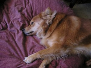 p1010005-2 p1010005-2