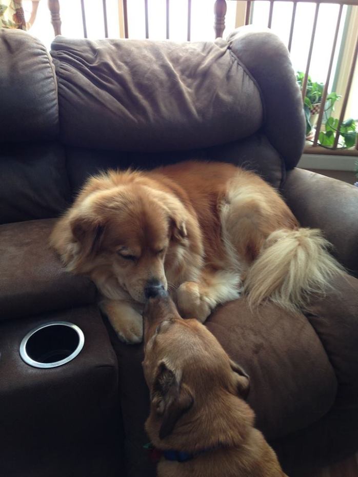 559774_10202314900301162_287464528_n