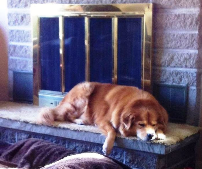 133347_4574651411600_1325178086_o