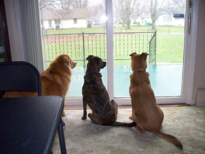 The girls_Albion patio