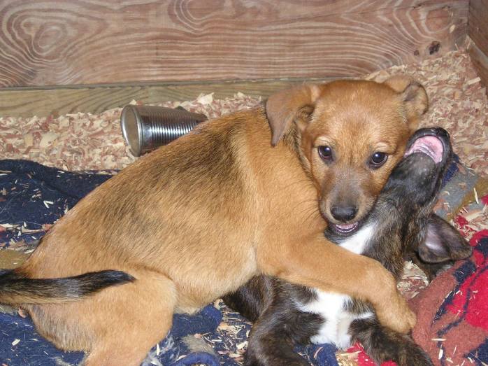 10562505_10203925004832769_8189905013929757314_o