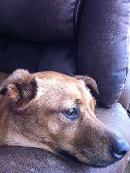 10670167_10204373892494680_2021803849737130788_n