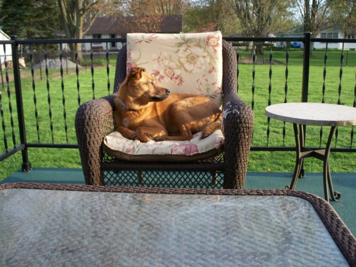 546577_3635489253133_521249764_n