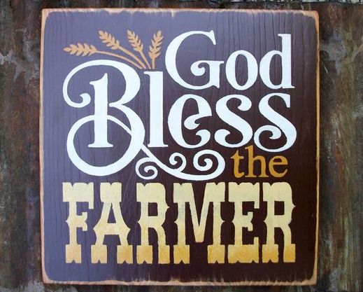 a6cd3c4f1a2c636bc8d09ff3390b85f5