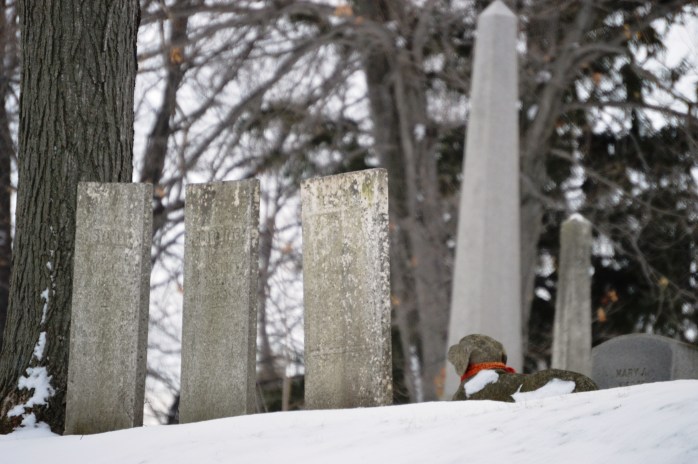 011416_Mans Best Friend Forever