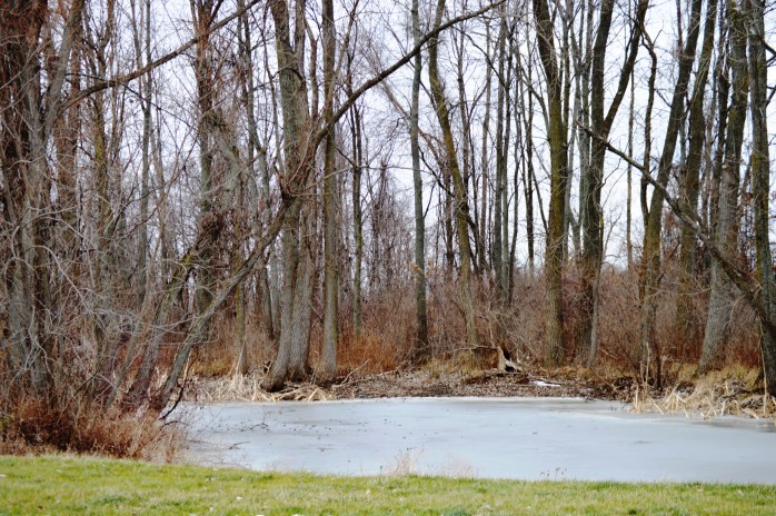 011616_On Frozen Pond