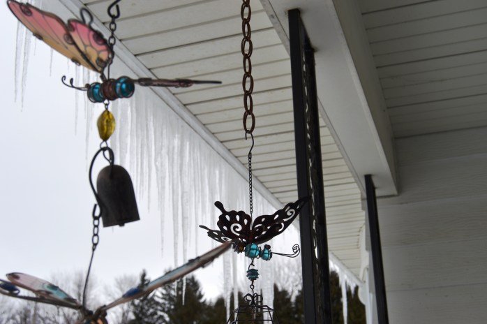 012316_Butterflies and Icicles