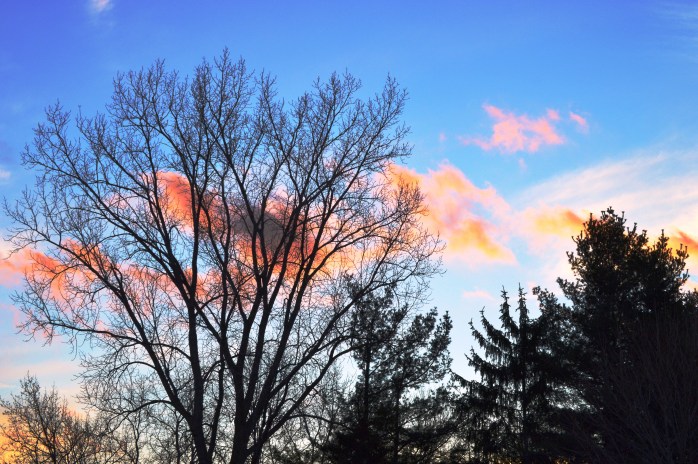 020116_Fire in the Sky