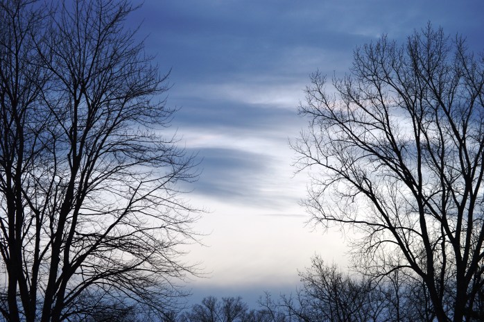 020816_Mother Natures Brush Strokes