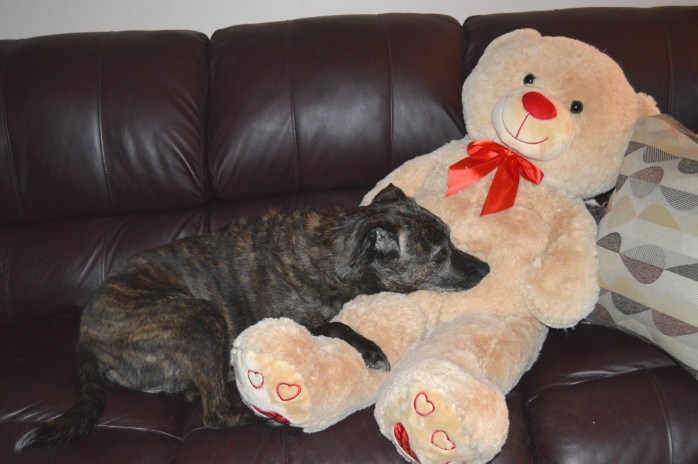 021116_Megans Valentine