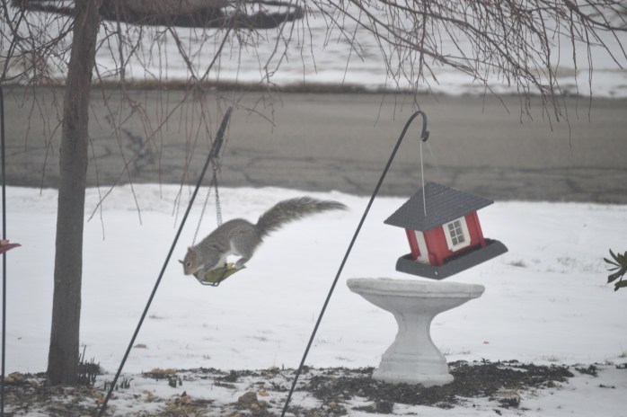 022716_he leaps he scores