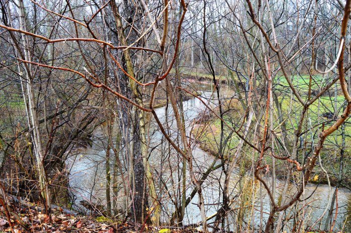 031516_O is for Otter Creek