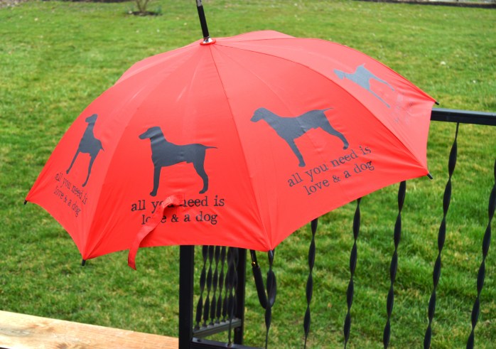 031816_R is for Red Rain Repellant