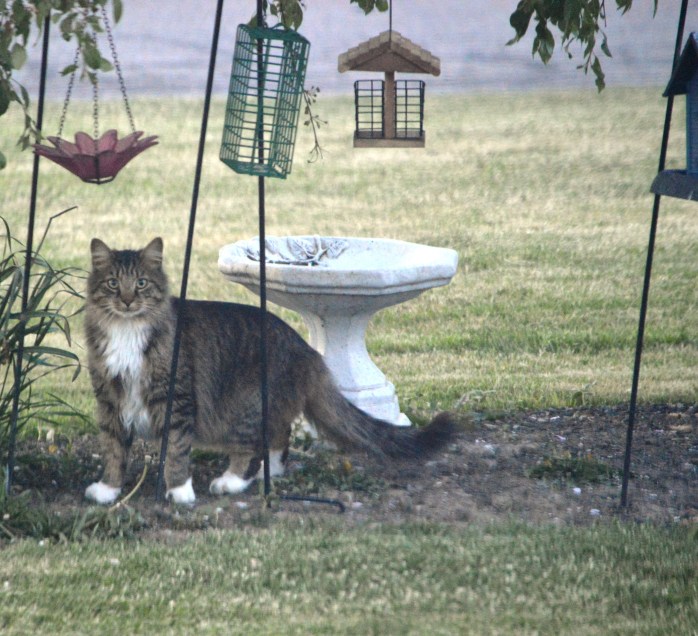 051816_Not My Usual Clientele