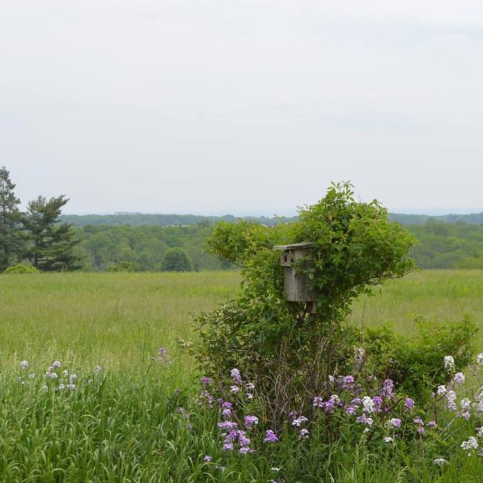 052916_Almost Heaven