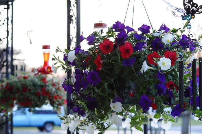 13161781_10208489220655312_2105823411362228076_o