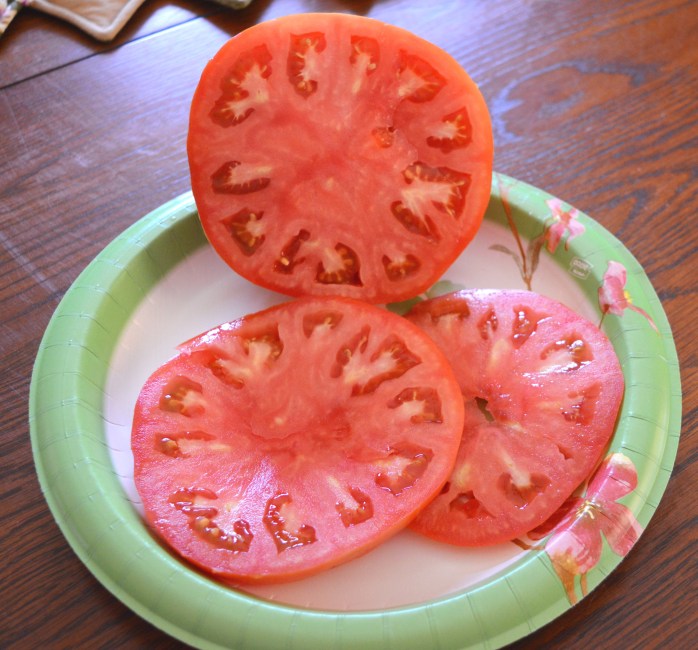 080516_The Incredible Giant Tomato