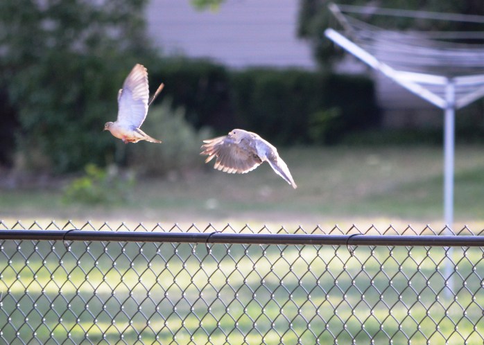 080716_We Have Lift Off