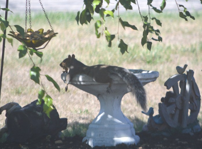 080816_Lounging By The Pool