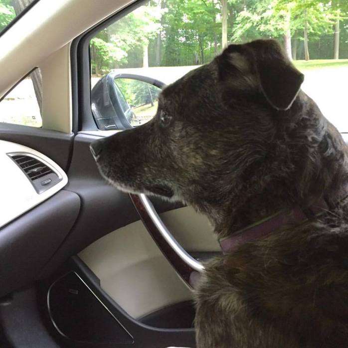 080916_Megans Grand Adventure