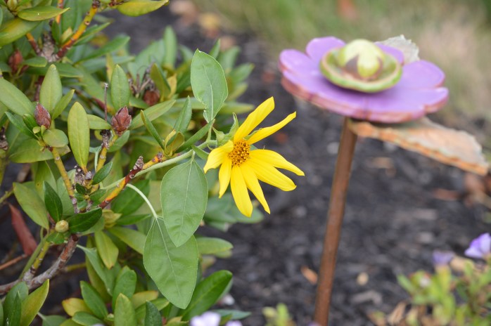 081716_Pretty Mistake