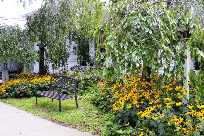 082516_Come Sit a Spell and Smell the Posies