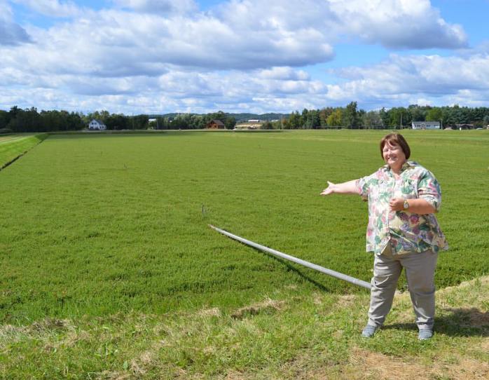 090116_cranberry-bogs-in-warrens-wisconsin