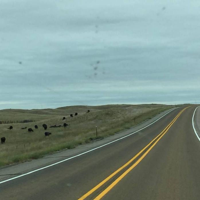 091216_nebraska-rolling-hills-and-cows-and-corn-and-um-nope-thats-about-it