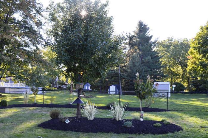 100416_new-bird-and-butterfly-friendly-flower-garden