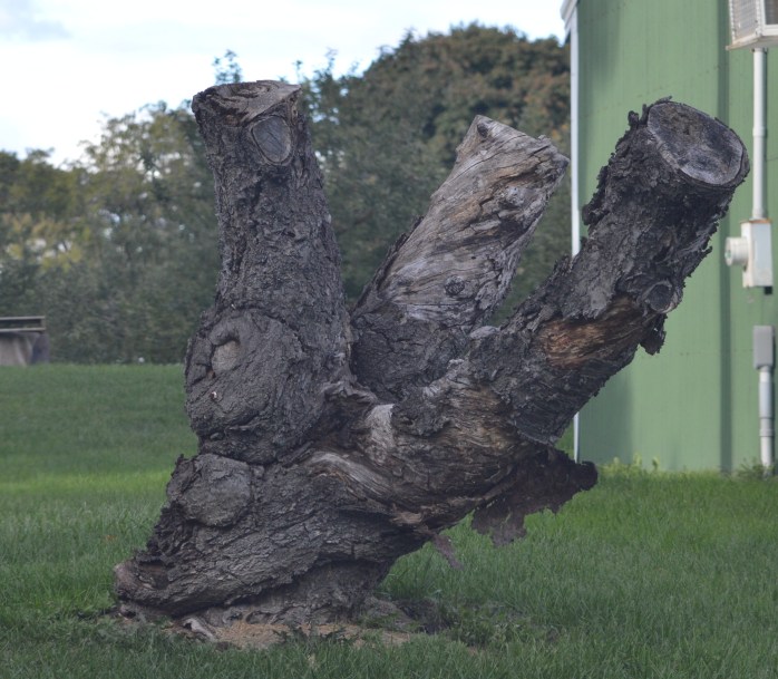 101016_old-and-weathered