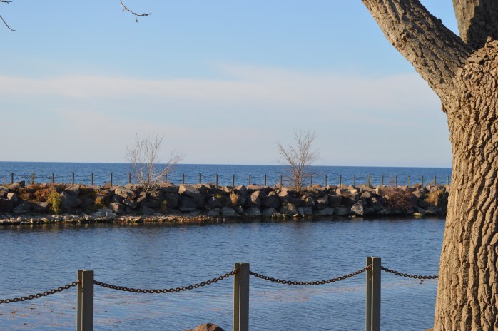 111716_q-is-for-quiet