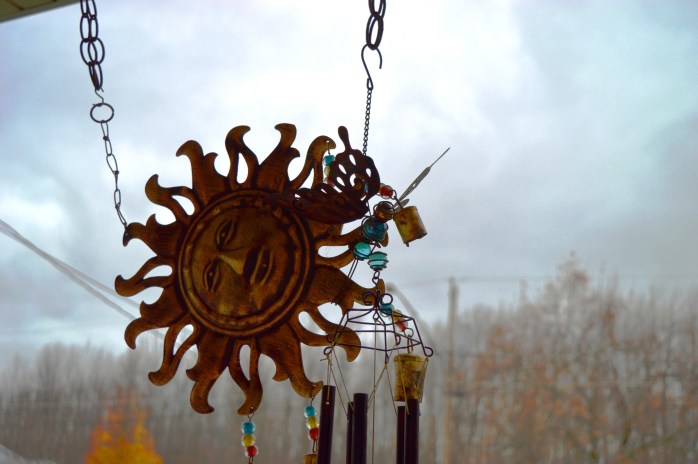 112016_t-is-for-tangled