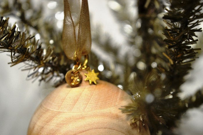 112616_z-is-for-z-charm