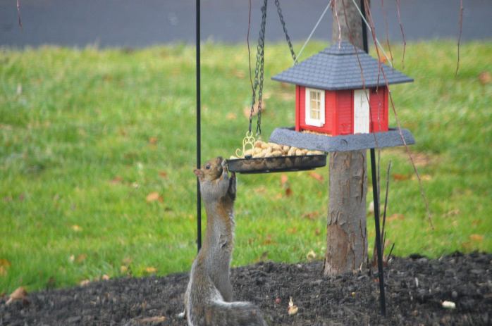 15195811_10210189297796178_8842242629125491520_o