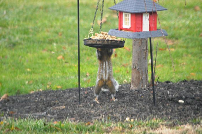 15271962_10210189296076135_3579395644010481247_o