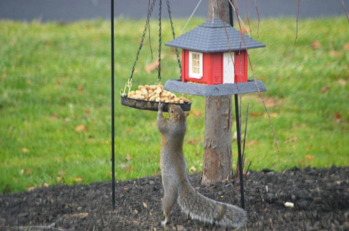 15288690_10210189296036134_1547587343174207832_o