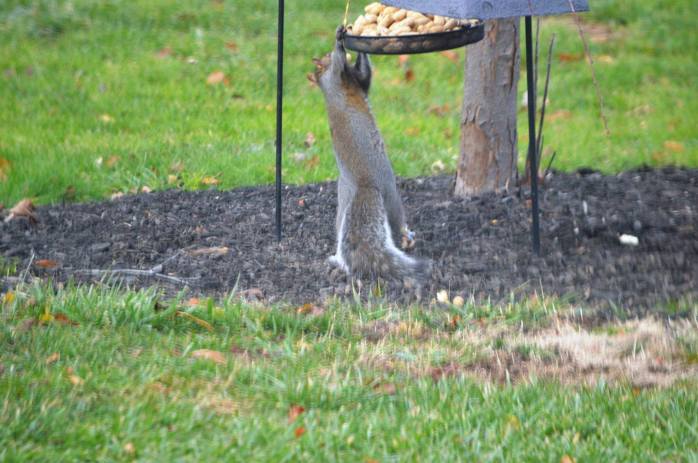 15289196_10210189298636199_489319560612912647_o