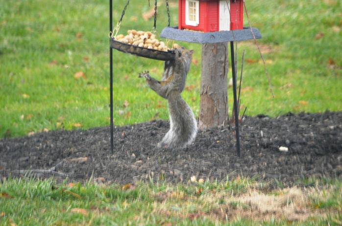 15304442_10210189296236139_5909242122378737966_o