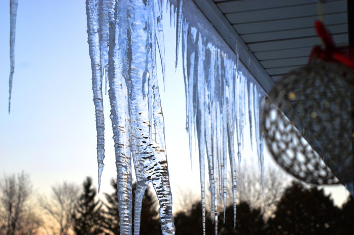 121916_icicles-at-dusk
