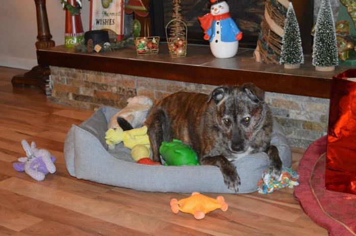 122716_poor-megan-if-only-she-had-something-to-play-with