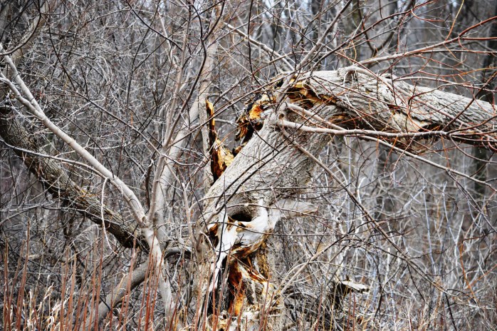 012017_twisted-and-broken