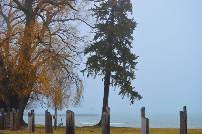 012217_cold-foggy-sunday-at-the-point