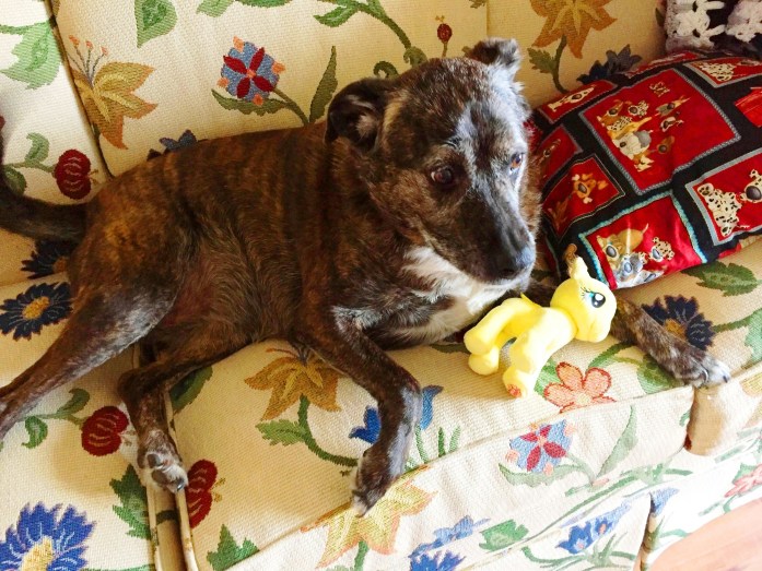 012317_my-little-pony_this-is-mine