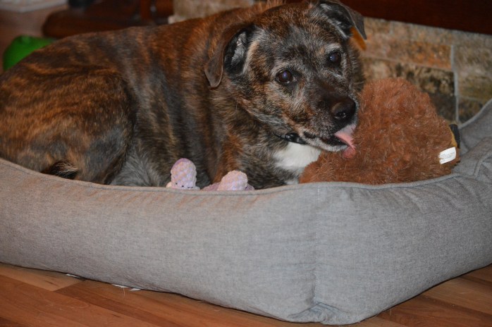 012317_these-are-mine-too