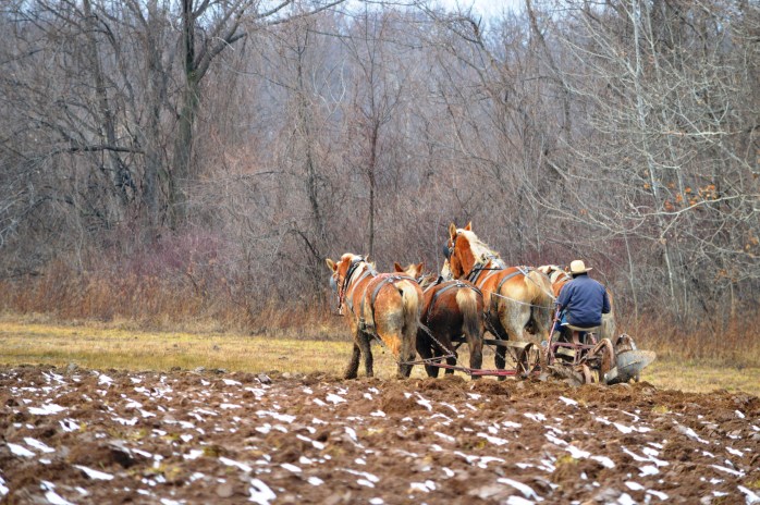 012517_winter-chores_2