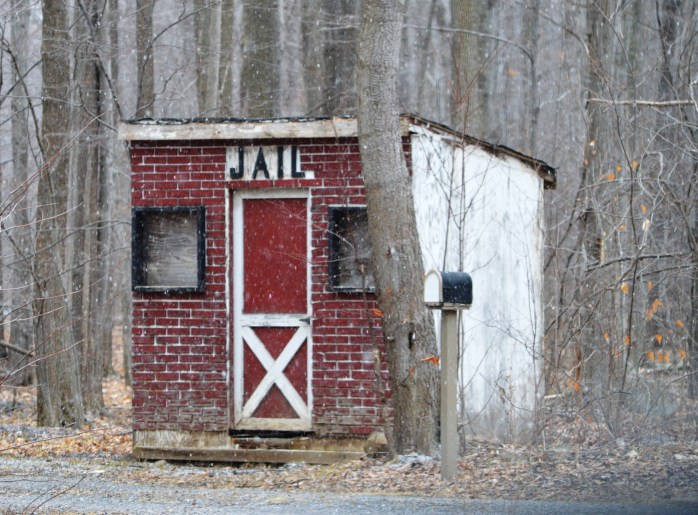 012817_best-shed-ever