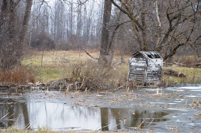 012817_on-frozen-pond